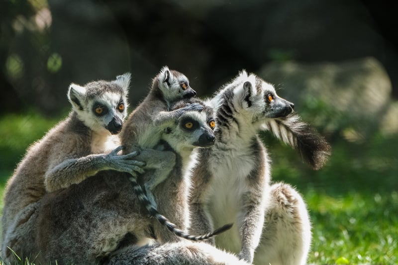 Join Group Expeditions