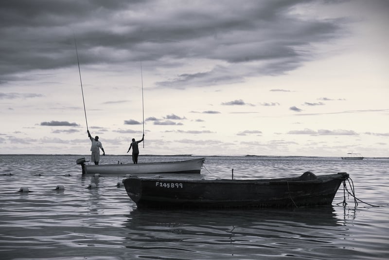 Kayak